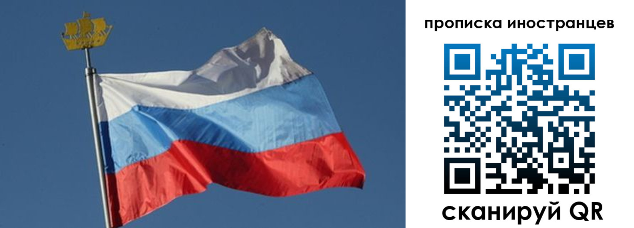 прописка поиск в Муравленко